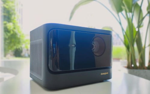 新興家電品類推薦 適配多場景家庭應(yīng)用